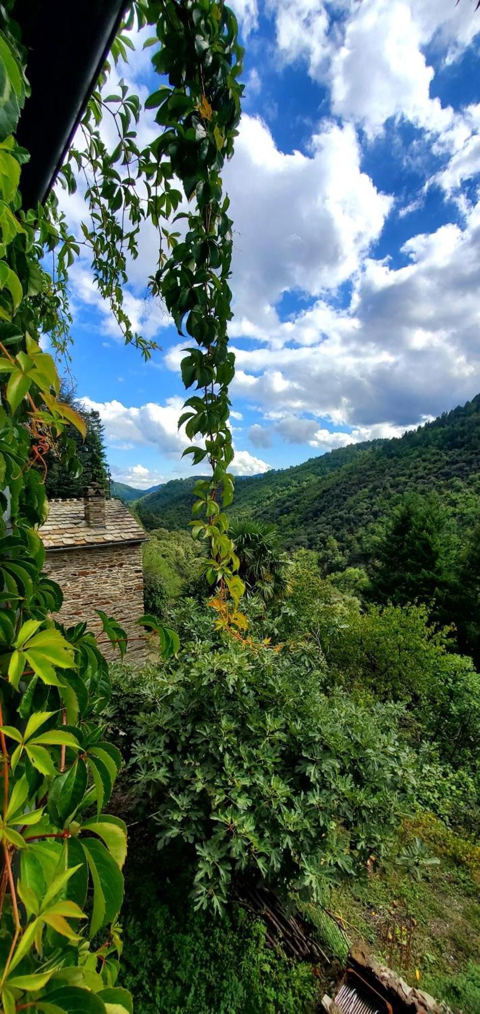 Gite De Combelebouze En Cevennes - Cosy, Confort Et Climatise - 3 Etoiles Saint-Privat-de-Vallongue Exterior foto